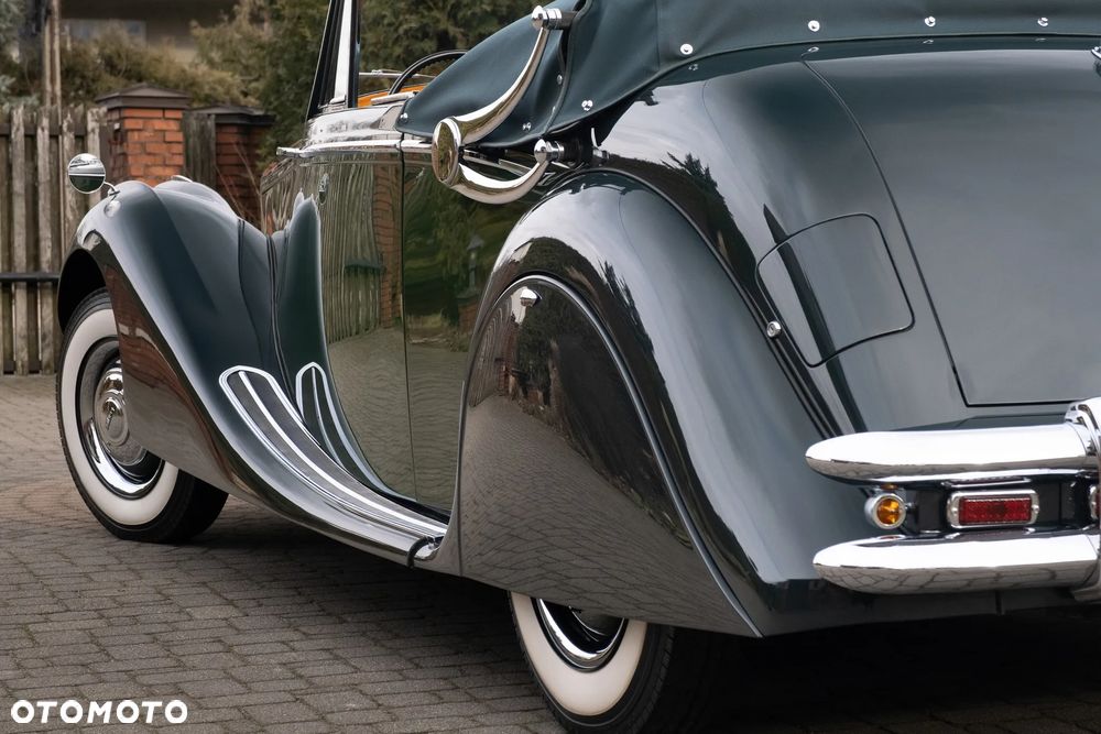 Jaguar Inny - 11