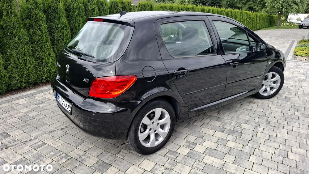 Peugeot 307 2.0 Premium Class - 7