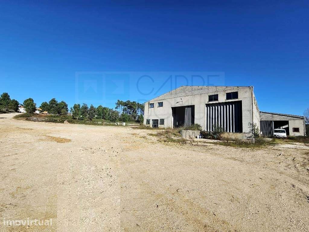 Armazém de 1200m2 em lote de 60841m2, em Pelariga, Pombal, Leiria - Grande imagem: 3/59