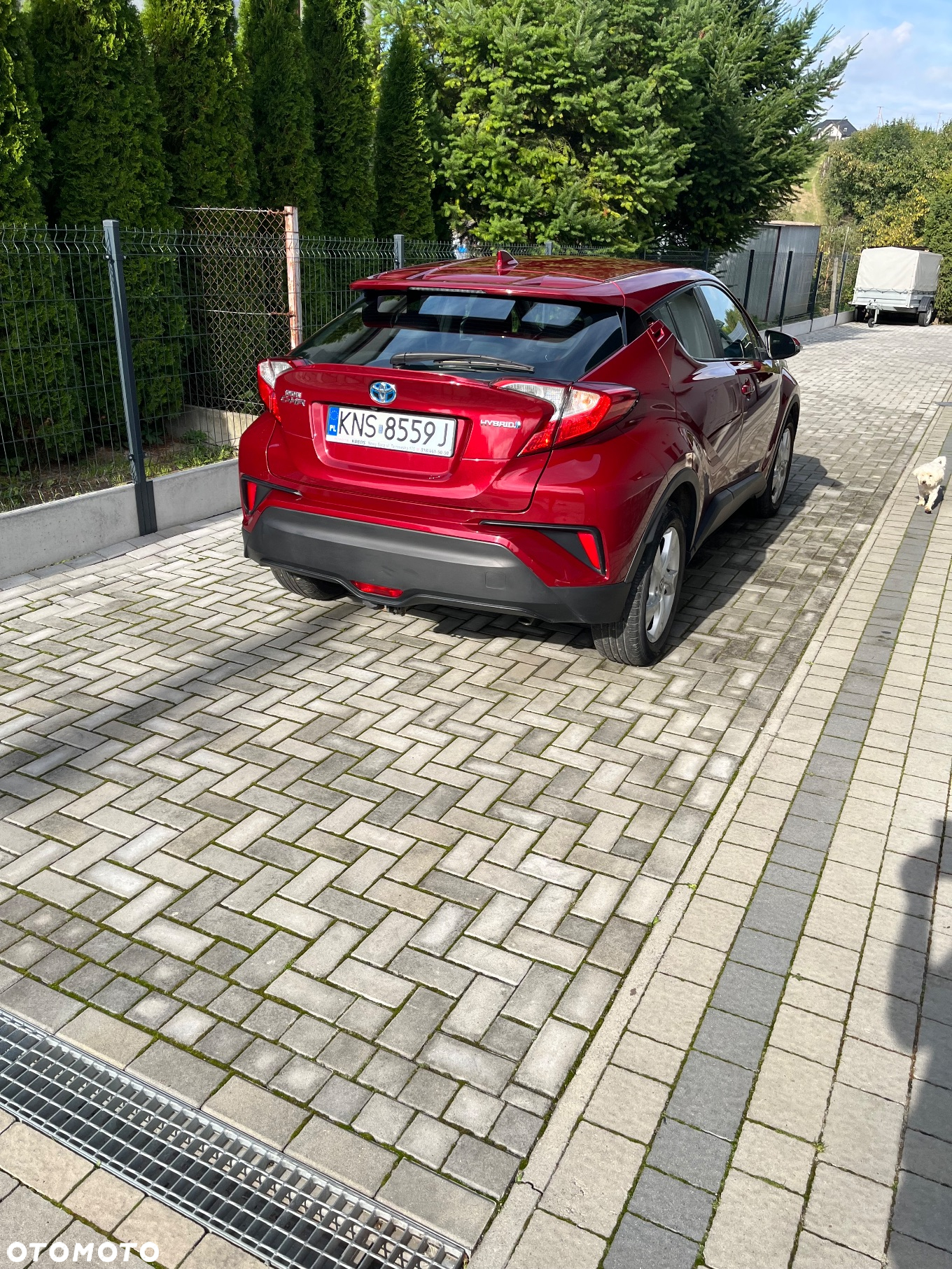 Toyota C-HR 1.8 Hybrid Dynamic - 7