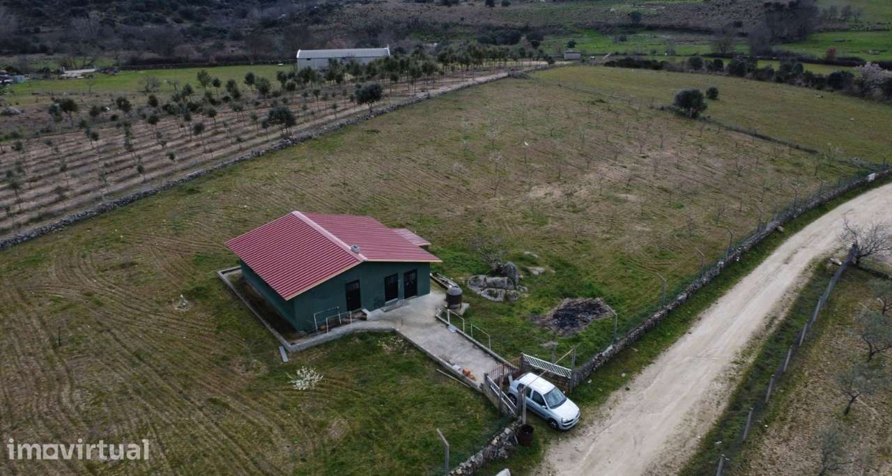Terreno com arvores de fruto e uma construção, em Miranda do Douro. - Grande imagem: 3/35