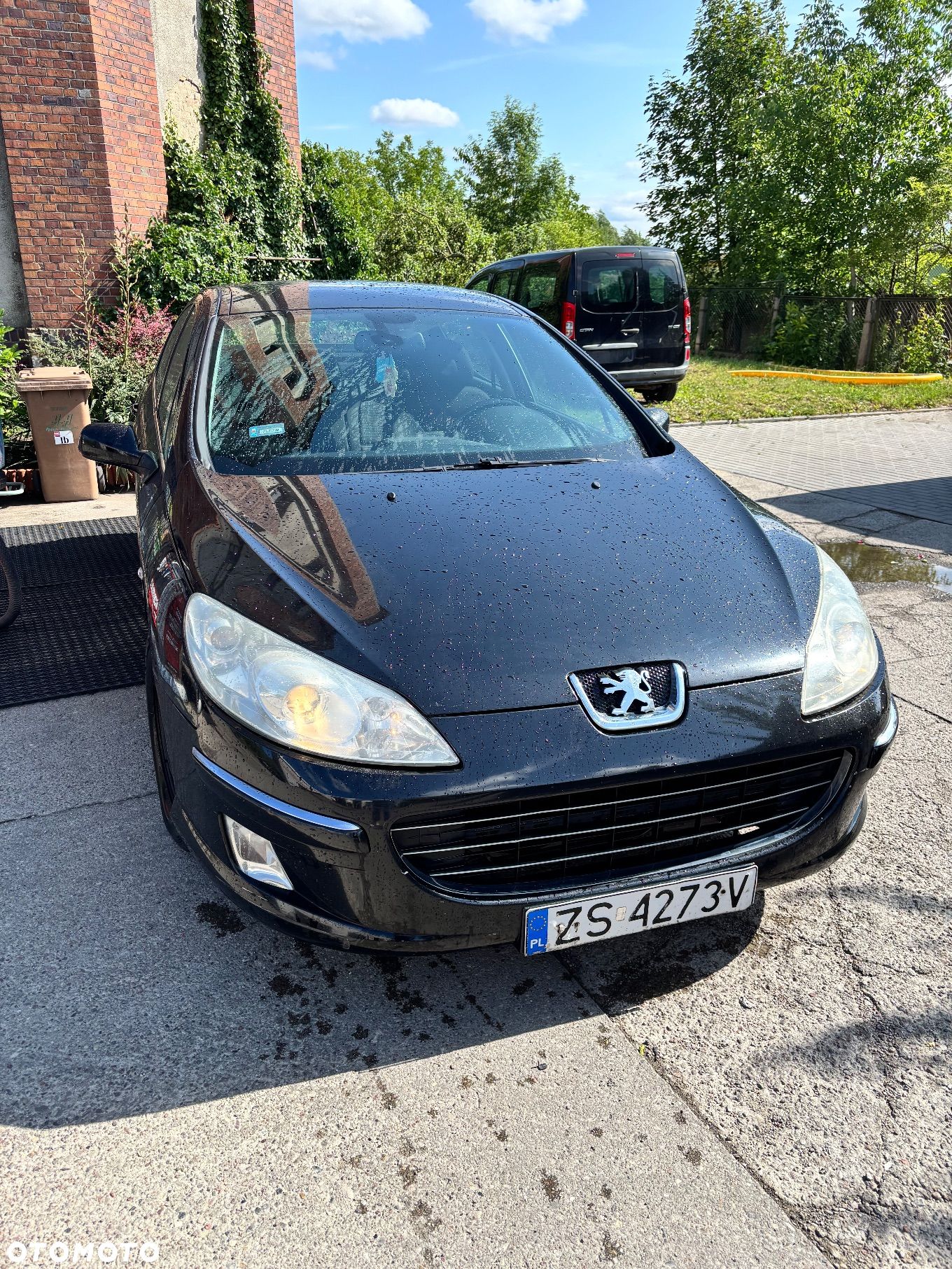 Peugeot 407 2.0 HDi Premium - 1