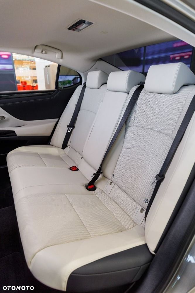 Lexus ES 300h F Sport Design - 34