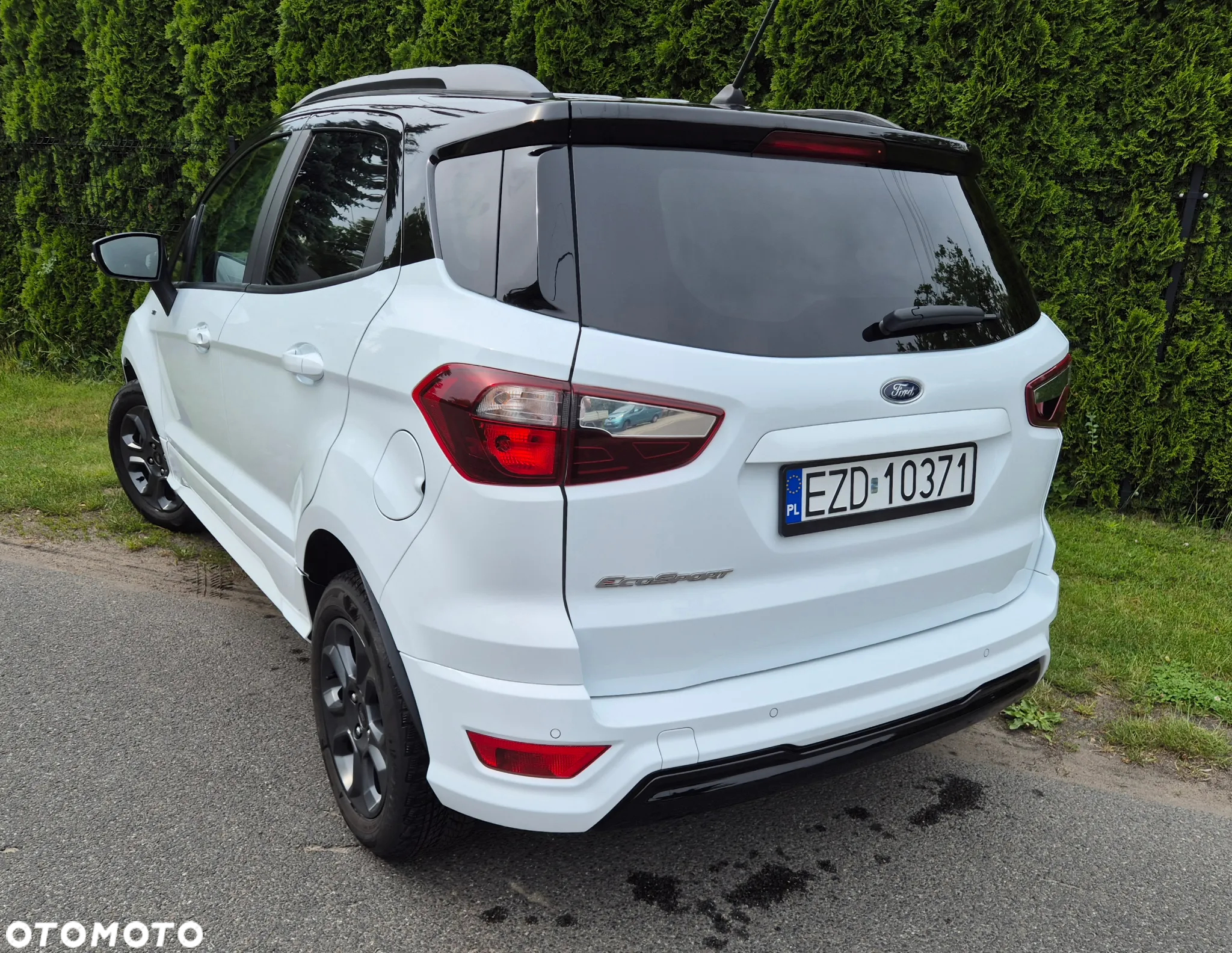 Ford Fiesta - 31