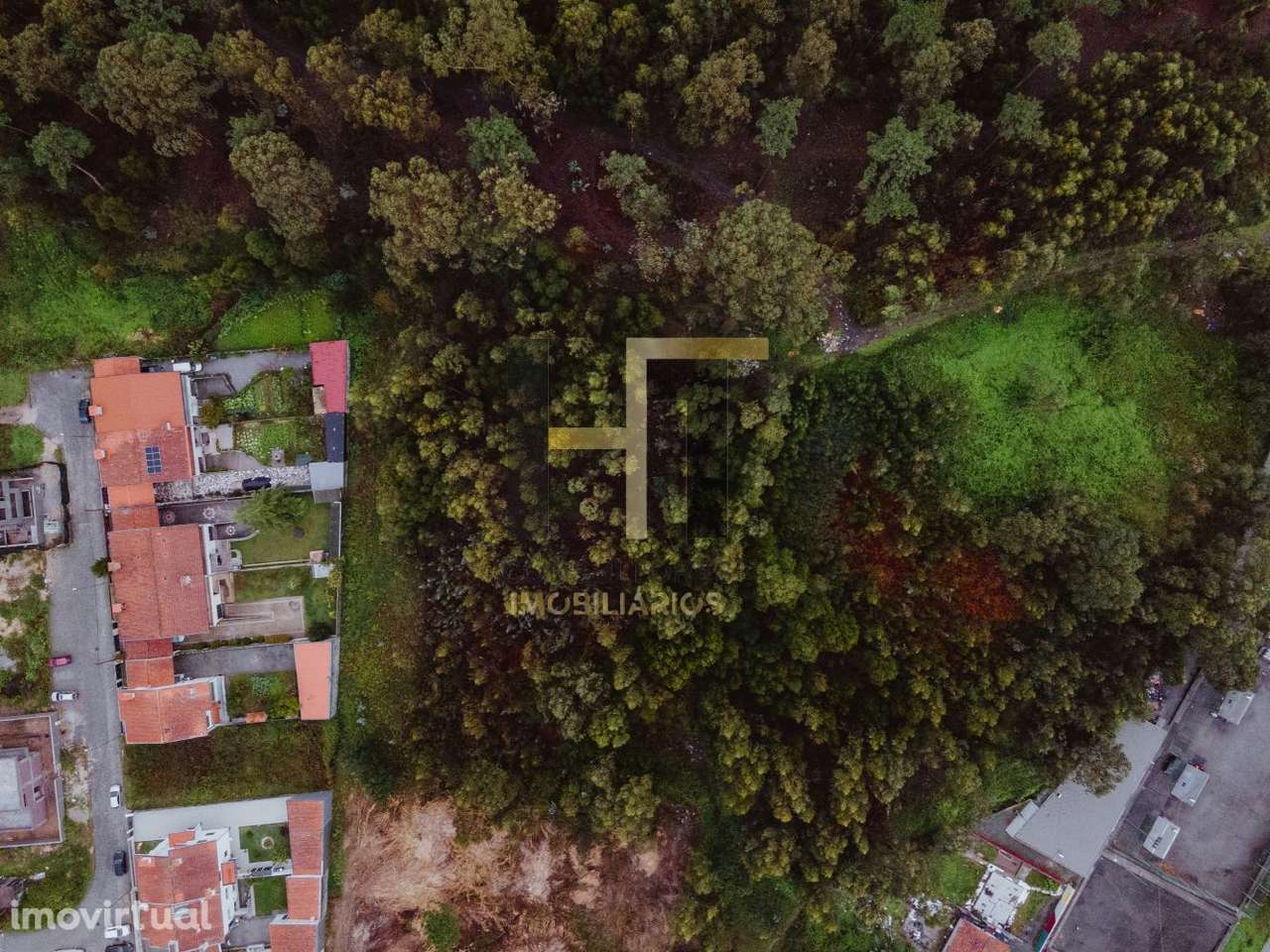 Terreno Rústico | 6.342m² em Gemunde | Oportunidade Única de Invest - Grande imagem: 3/21