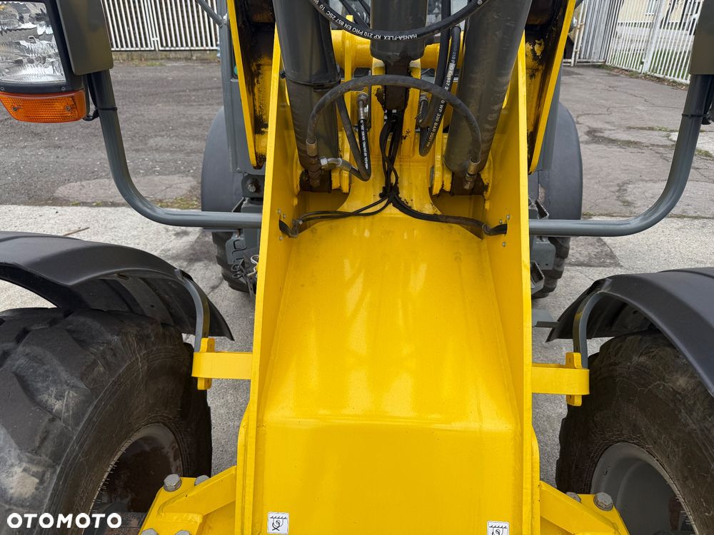 Wacker Neuson Ładowarka WL52 - 26