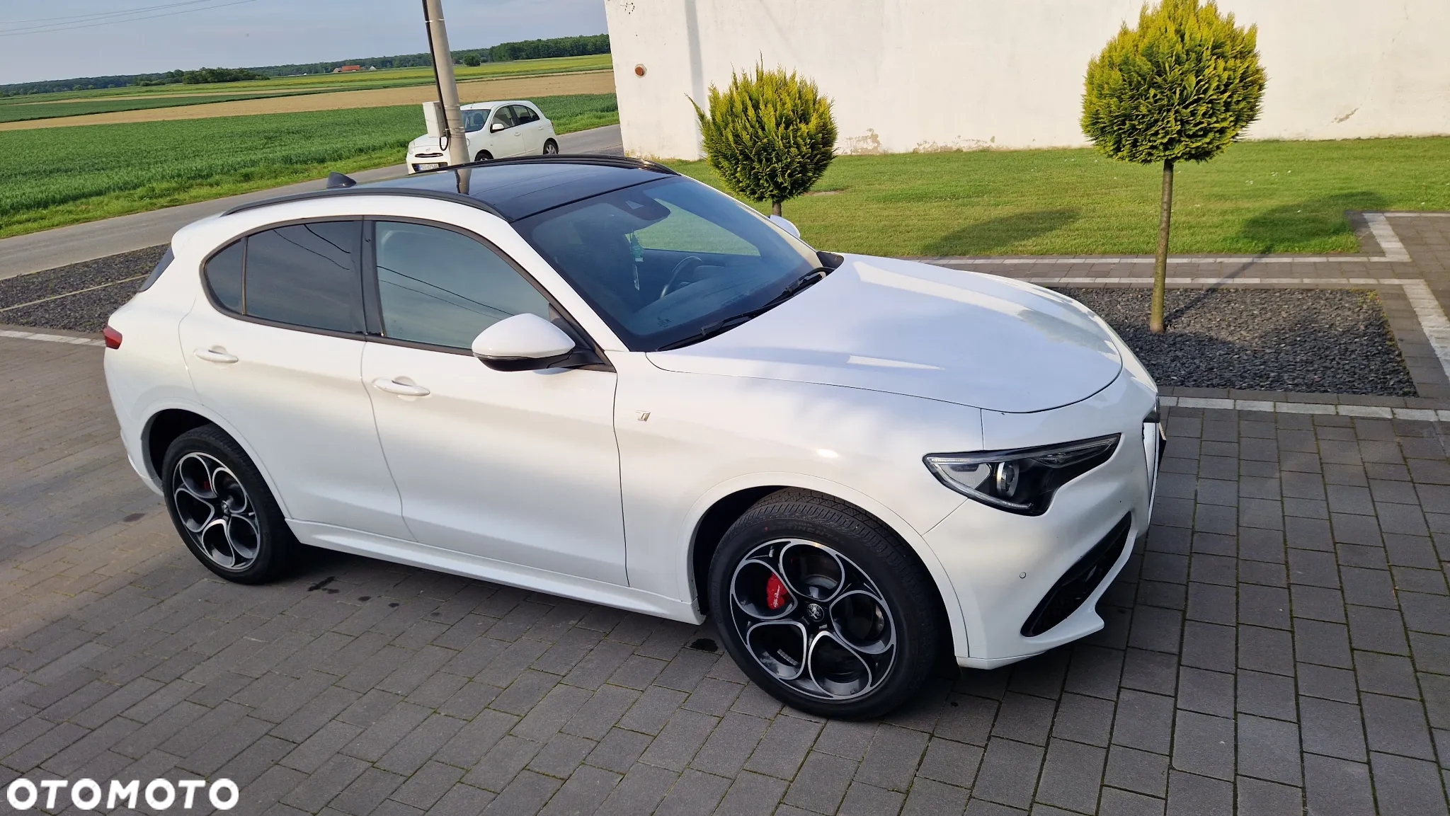 Alfa Romeo Stelvio 2.0 Turbo TI Q4 - 17