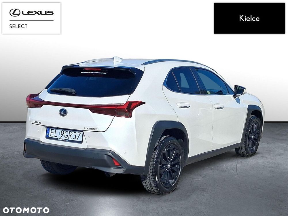 Lexus UX 250h GPF Business 2WD - 6