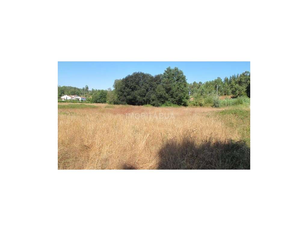 Lote para construção com 6,675 m2 - Grande imagem: 3/4