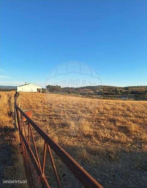 Vendo terreno rústico em Beja - Serpa - Grande imagem: 3/8