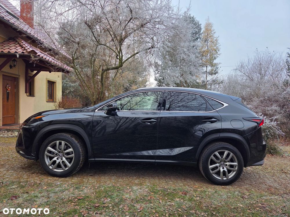 Lexus NX 300 Comfort AWD - 5