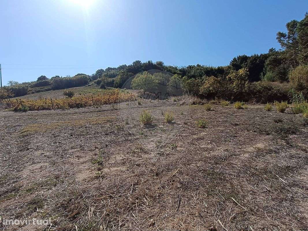Terreno  para venda - Grande imagem: 3/12