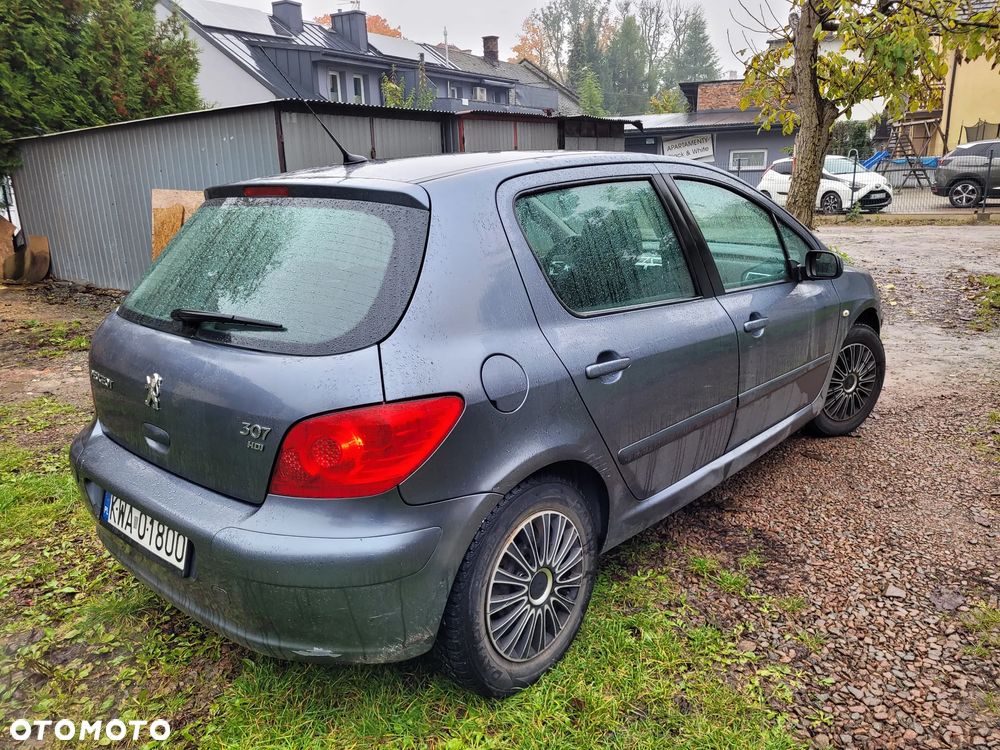 Peugeot 307 - 6