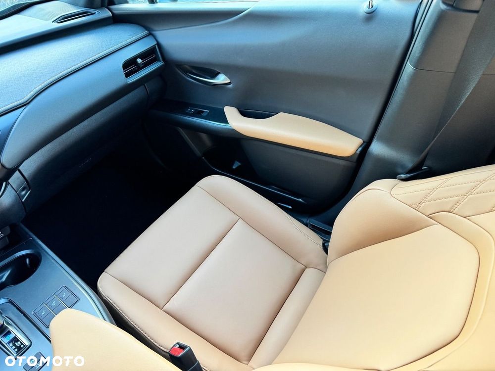 Lexus UX 300h F Sport Design - 18