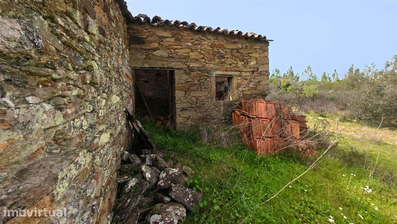 Quinta T0 Venda em Sarzedas,Castelo Branco - Grande imagem: 2/11