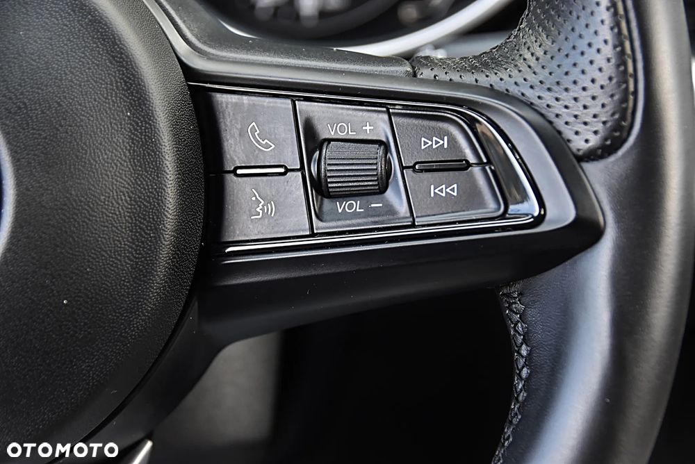 Alfa Romeo Stelvio 2.0 Turbo Veloce Q4 - 34