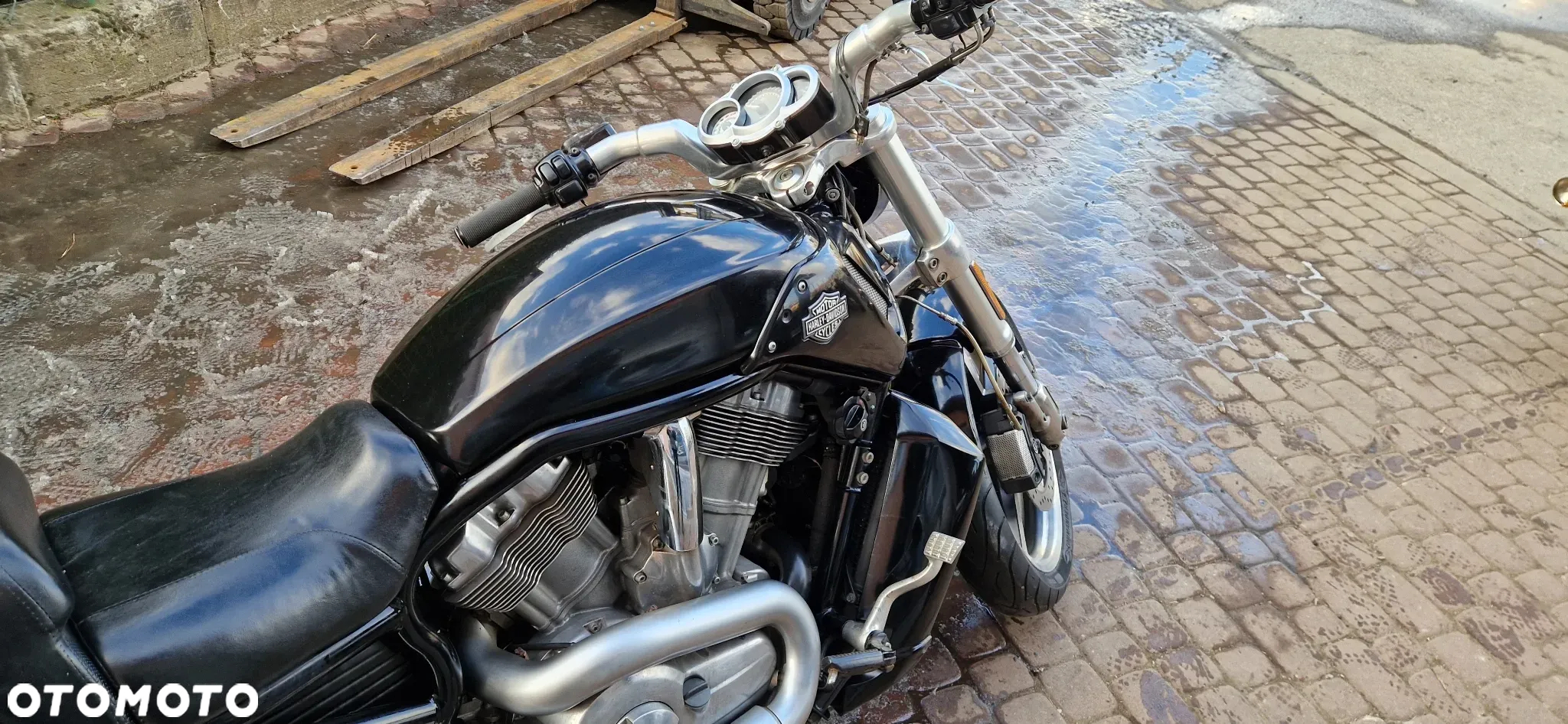 Harley-Davidson V-Rod Muscle - 16