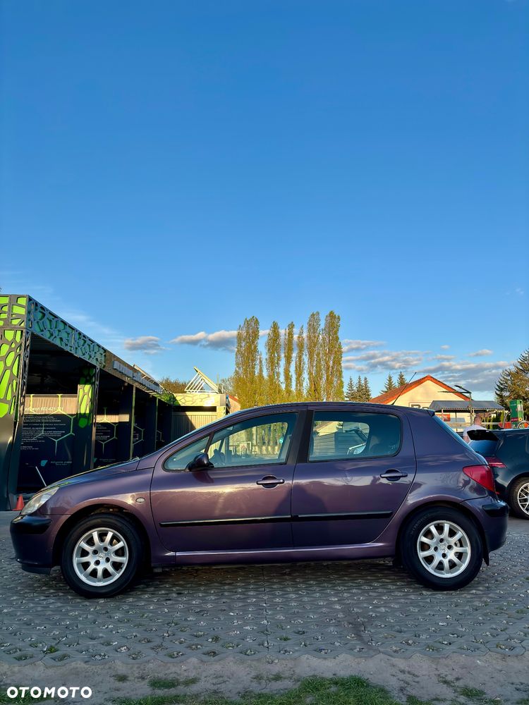 Peugeot 307 1.4 XS - 3