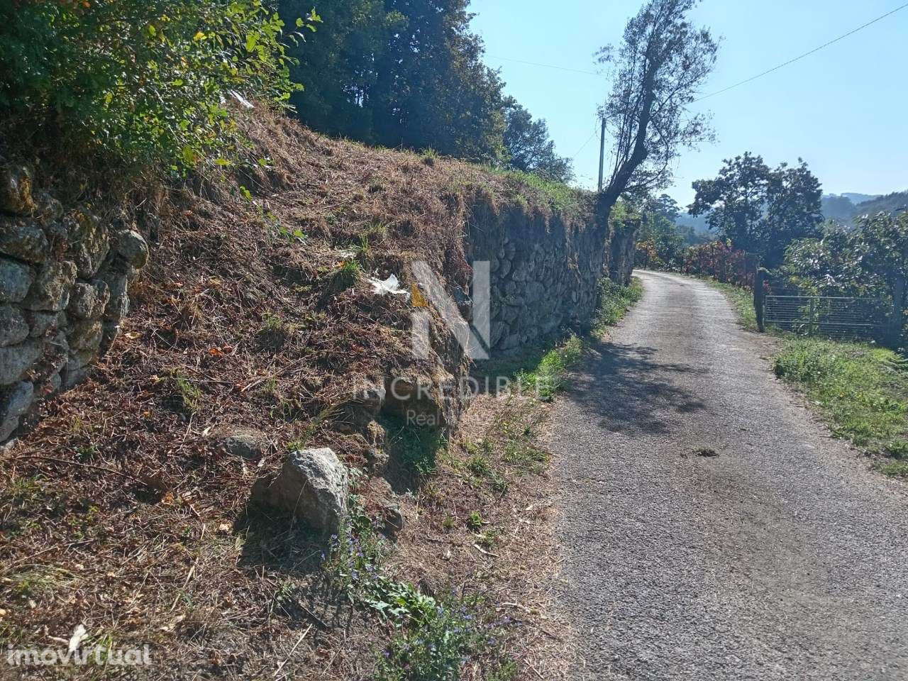 Terreno  Venda em Vade,Vila Verde - Grande imagem: 3/7
