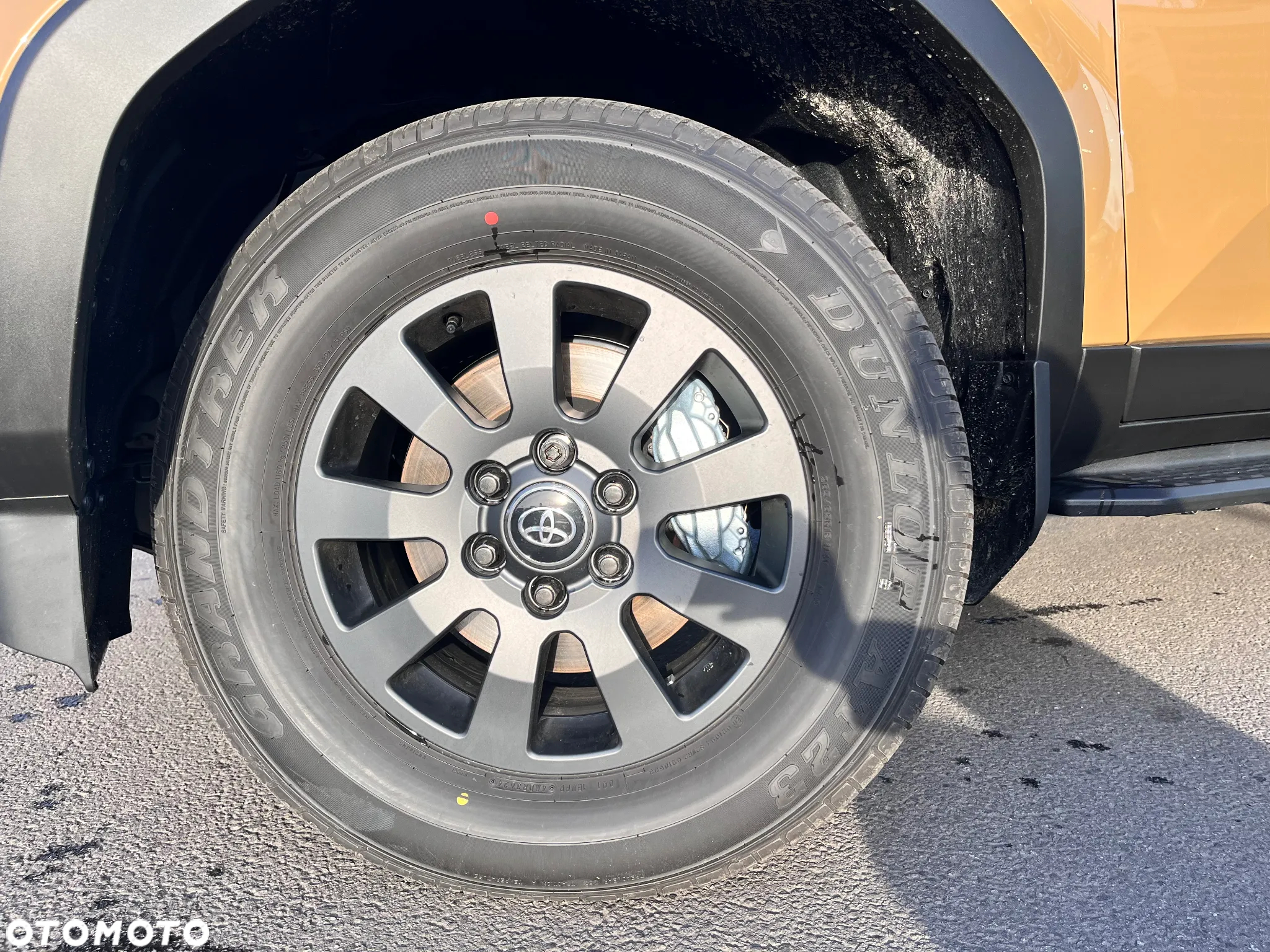 Toyota Land Cruiser - 9