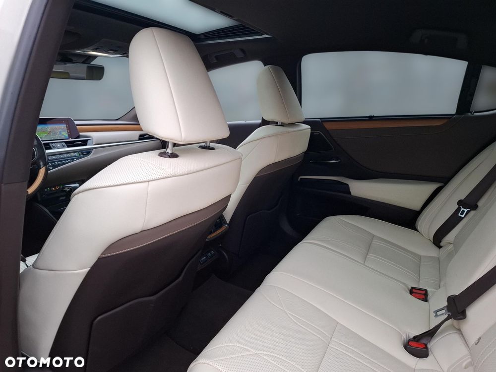 Lexus ES 300h Omotenashi - 9