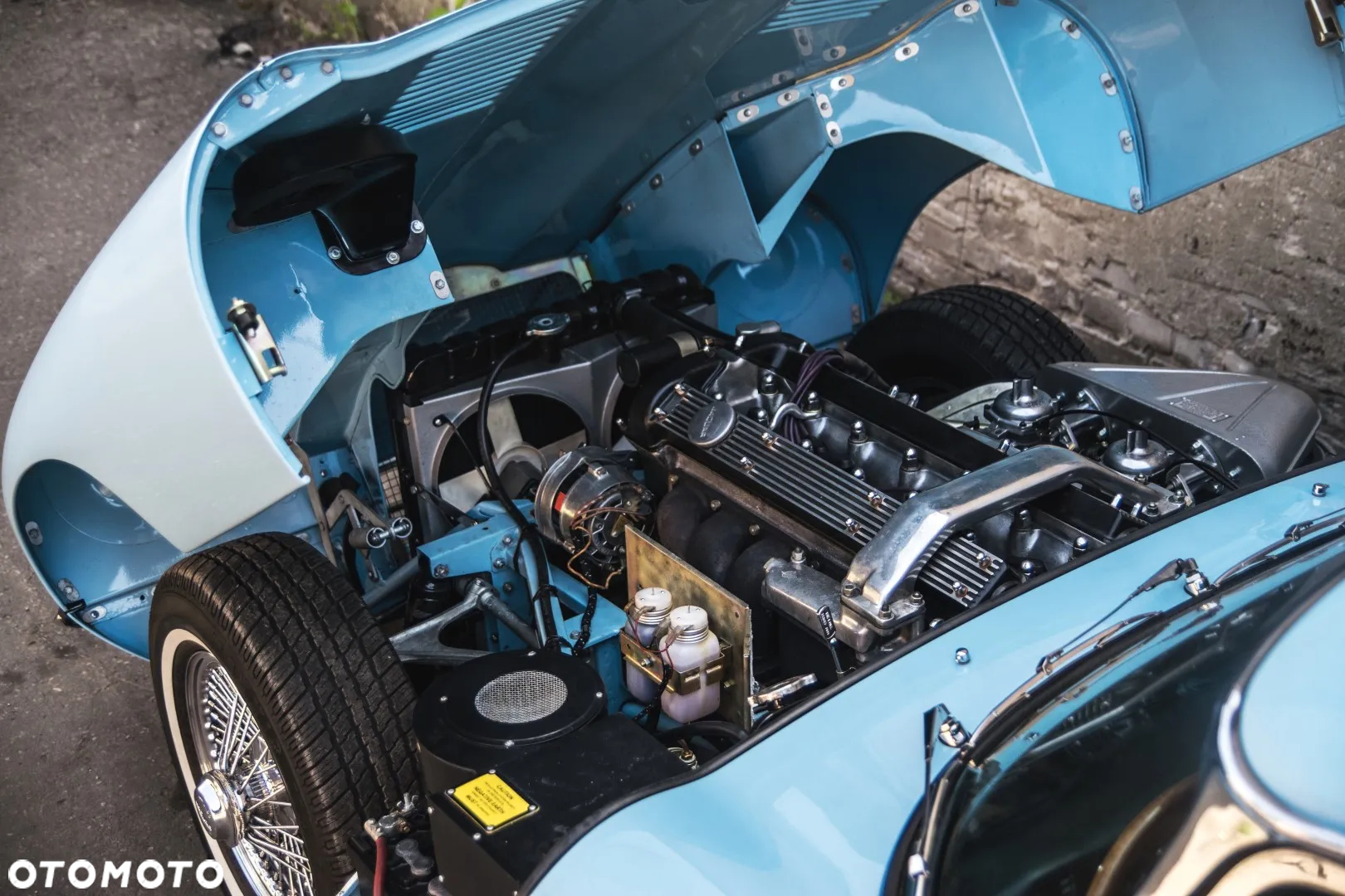 Jaguar E-Type - 9