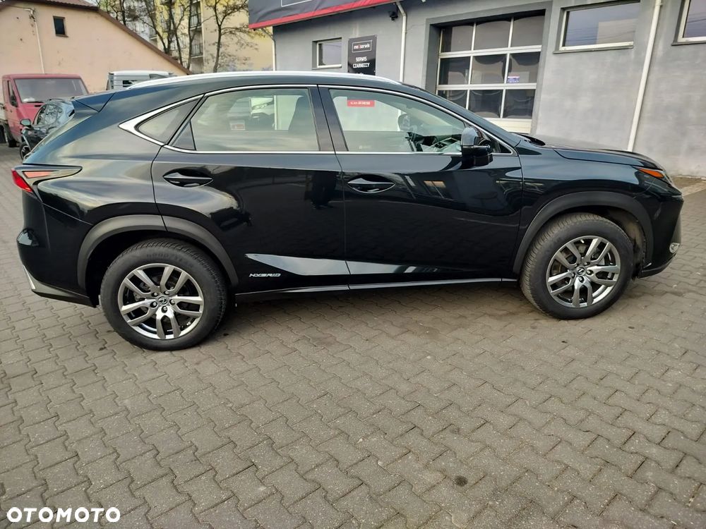 Lexus NX 300h Business Edition AWD - 15