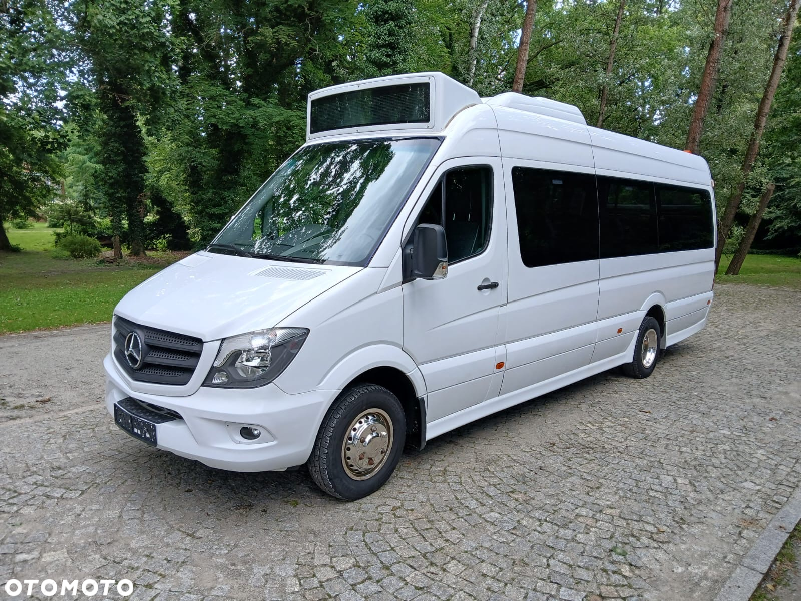 Mercedes-Benz City 519 - 2