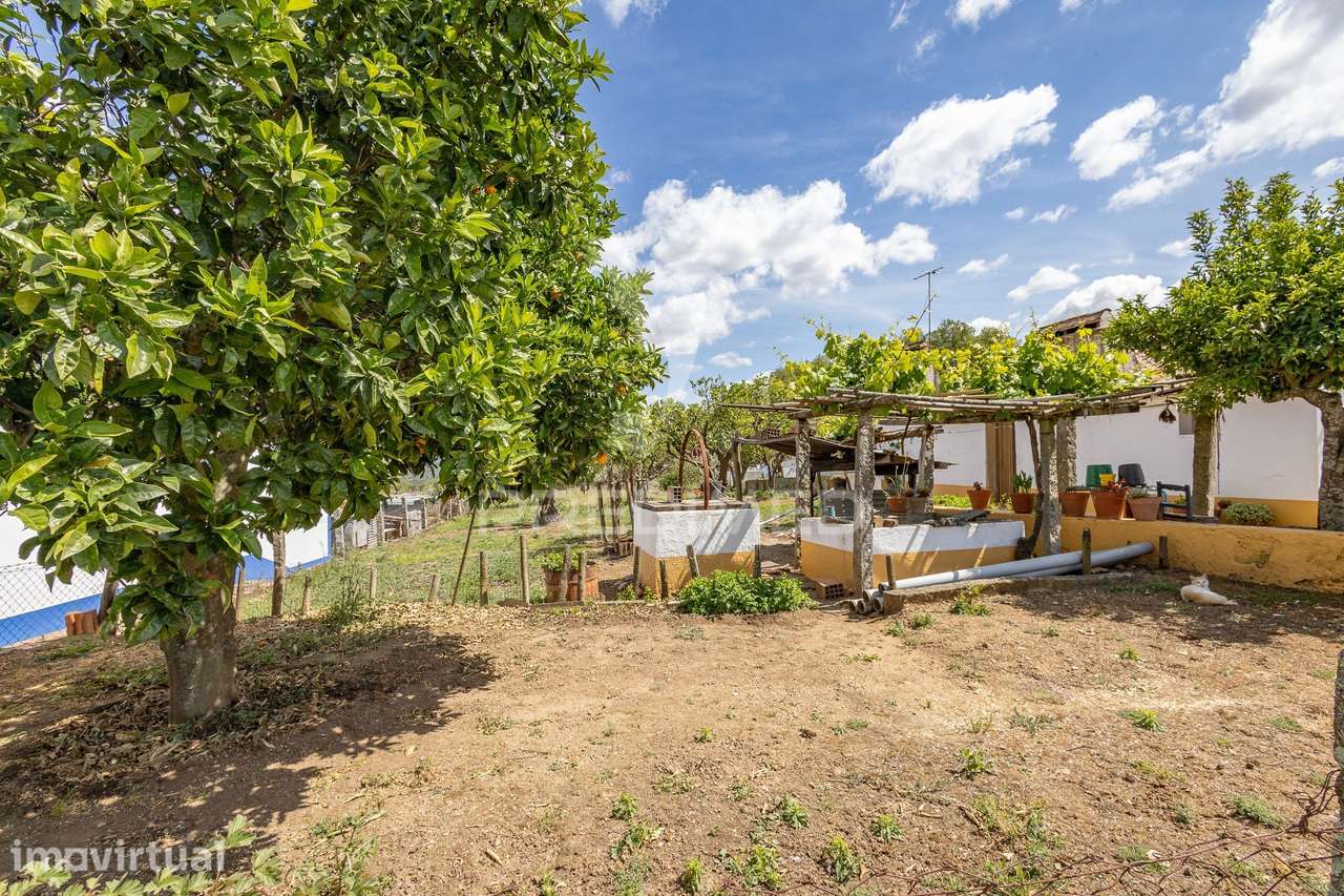 Oportunidade Única na Boa Fé, Évora – Duas Moradias em Lote de 918 m² - Grande imagem: 5/39