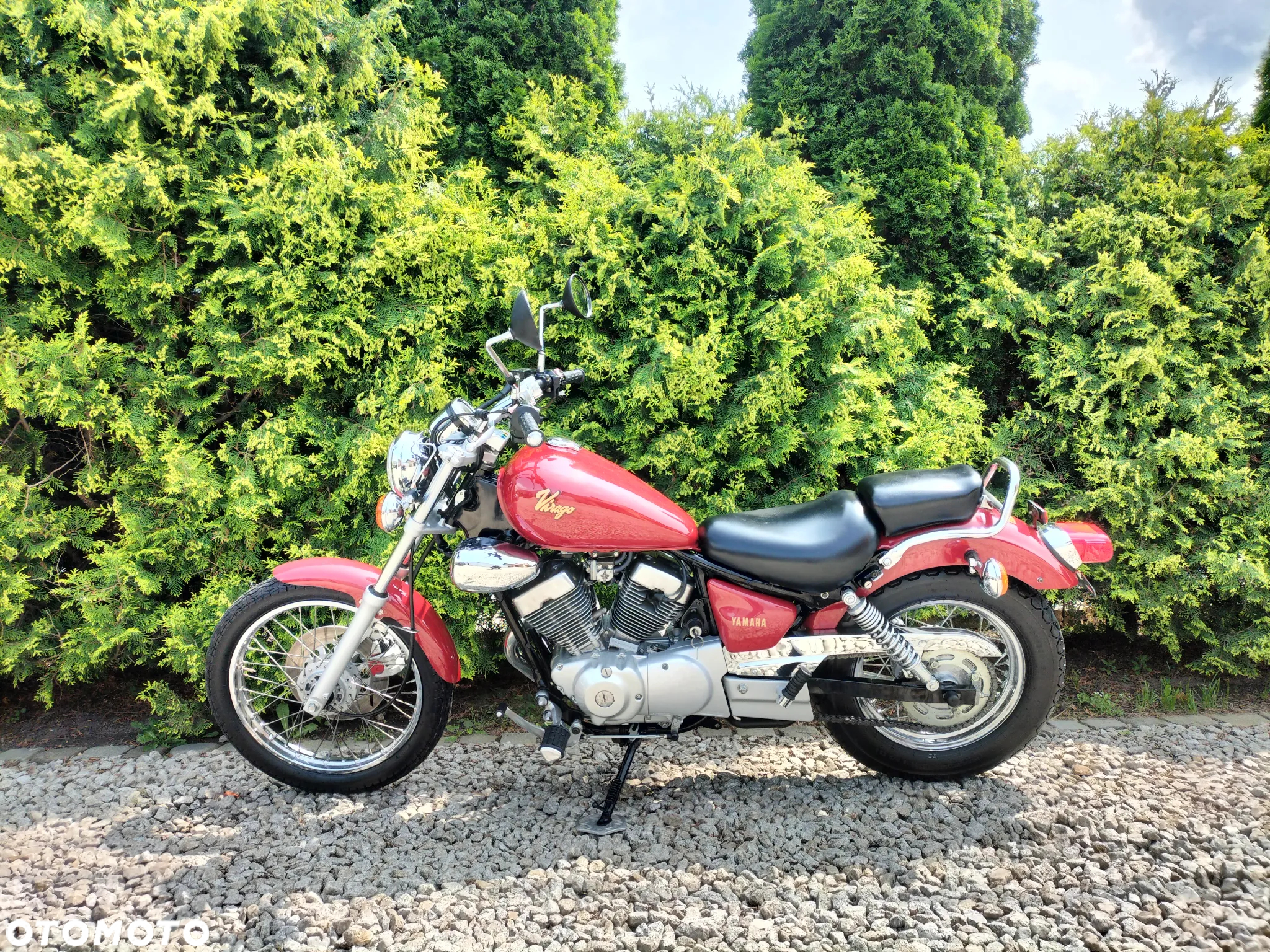 Yamaha Virago - 2