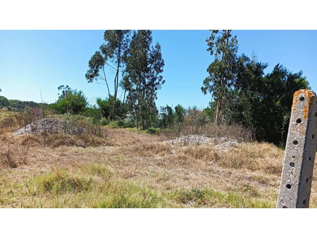 Terreno para construção de moradia- Vagos Próximo ao LIDL - Grande imagem: 3/16