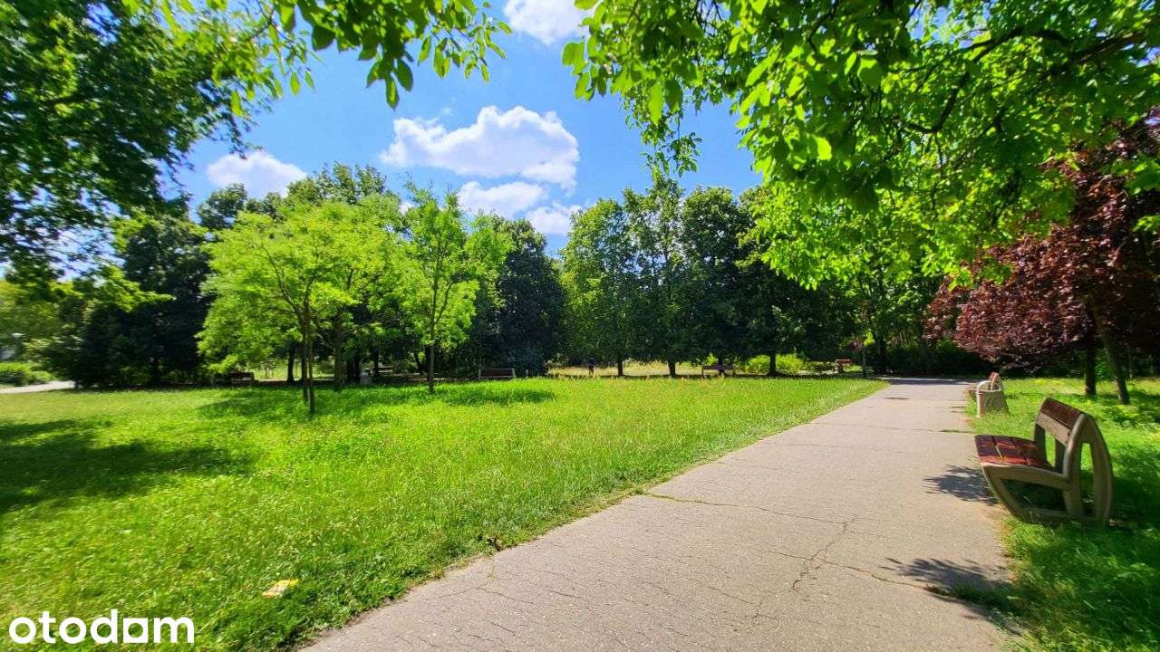 Z widokiem na park, przestronne i słoneczne!