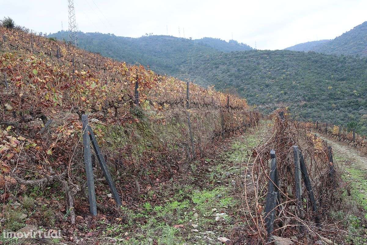 Terreno  para venda - Grande imagem: 4/11