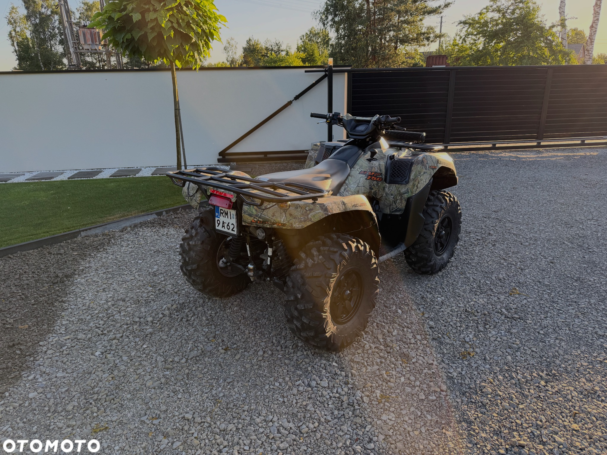 Kawasaki Brute Force