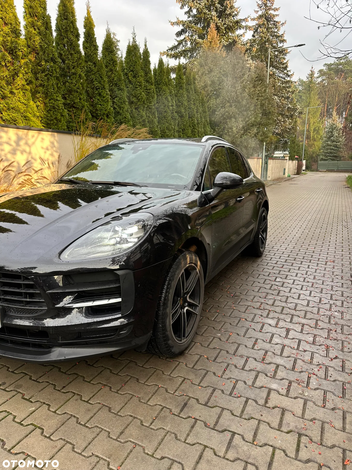 Porsche Macan Standard - 17