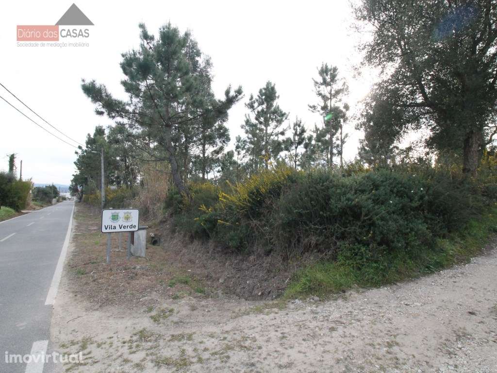 Terreno para construção em S. Martinho de Árvore - Grande imagem: 3/7