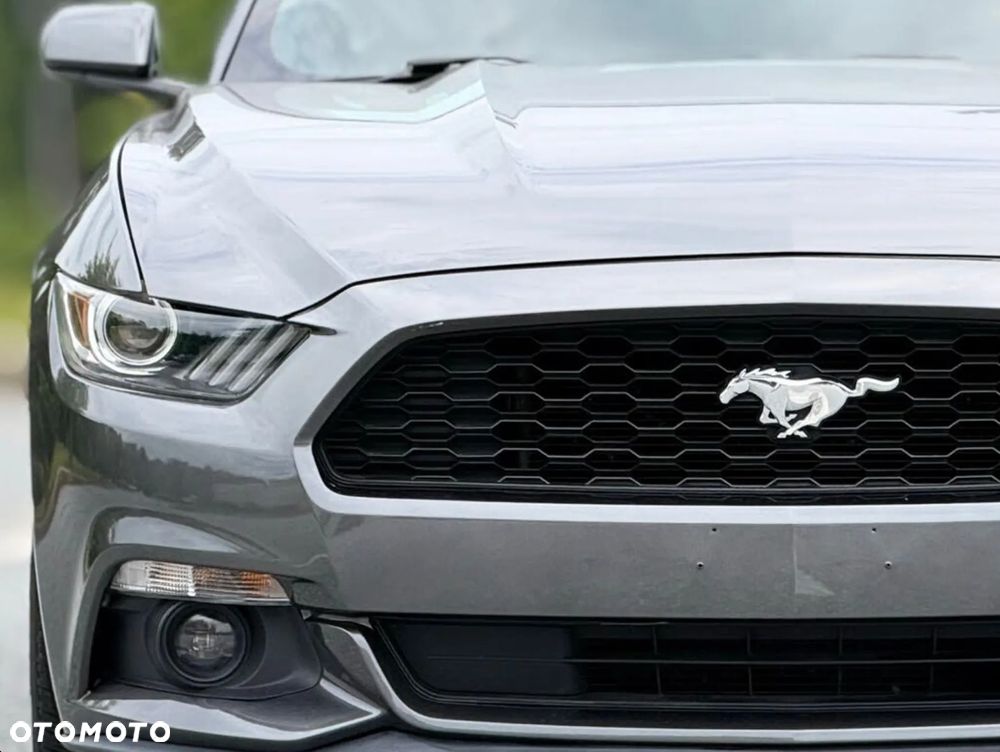 Ford Mustang 3.7 V6 - 13