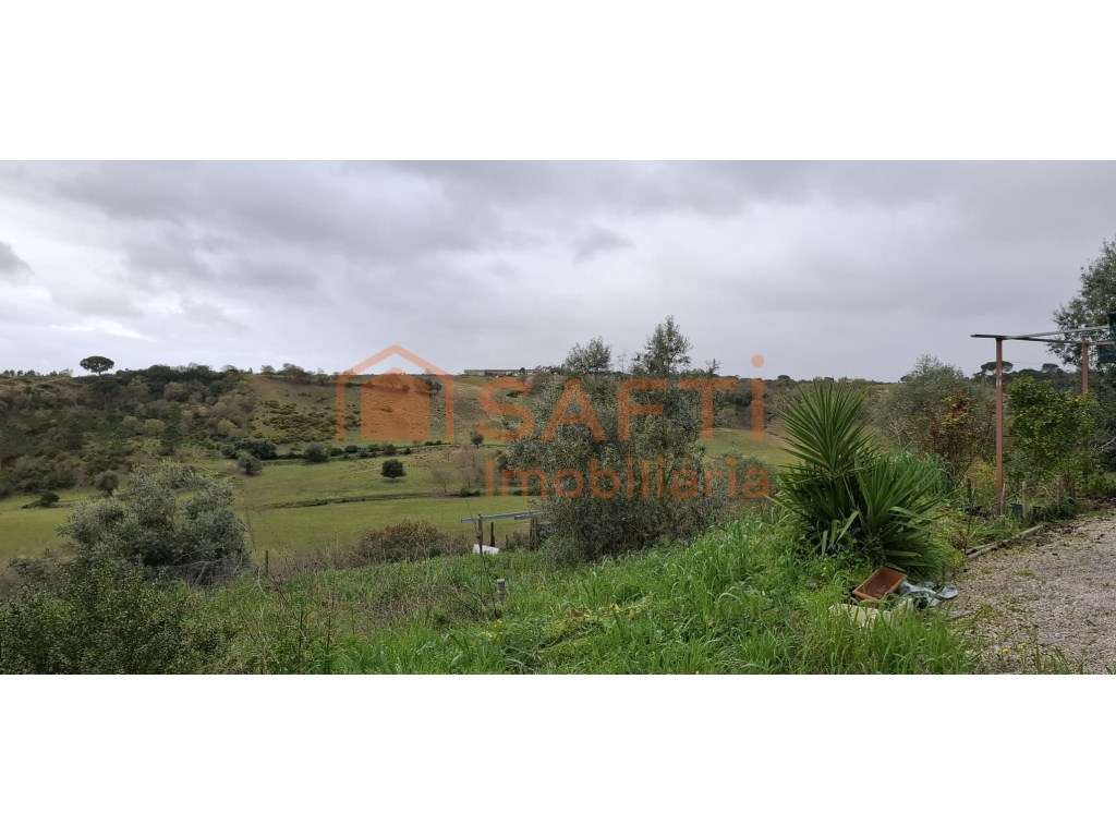Terreno em Gucherre, Almoster, Santarém (11.880 m²) - Grande imagem: 3/21