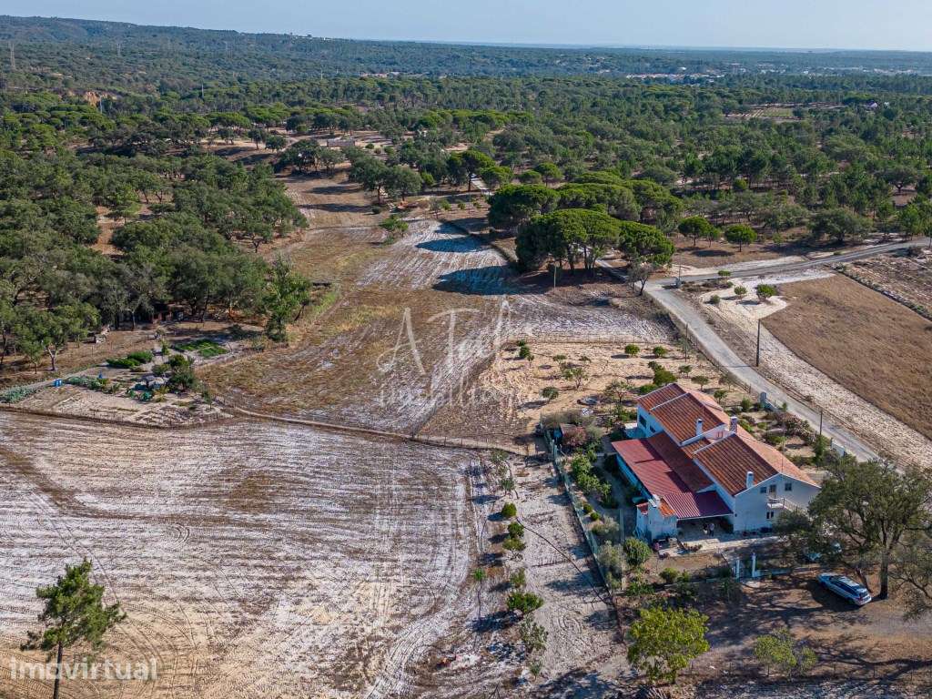 Herdade de Charme com Potencial Único - Melides / Comporta - Grande imagem: 2/29