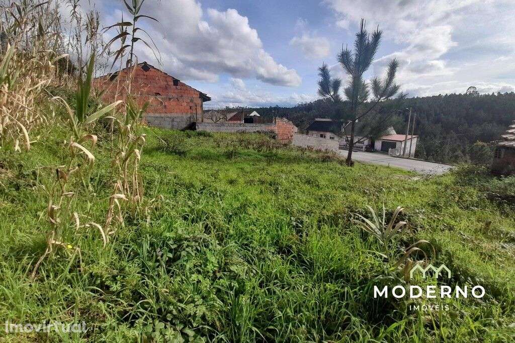 Terreno Urbano e Terreno Rústico – Machuqueira, Carnide, Pombal - Grande imagem: 5/12