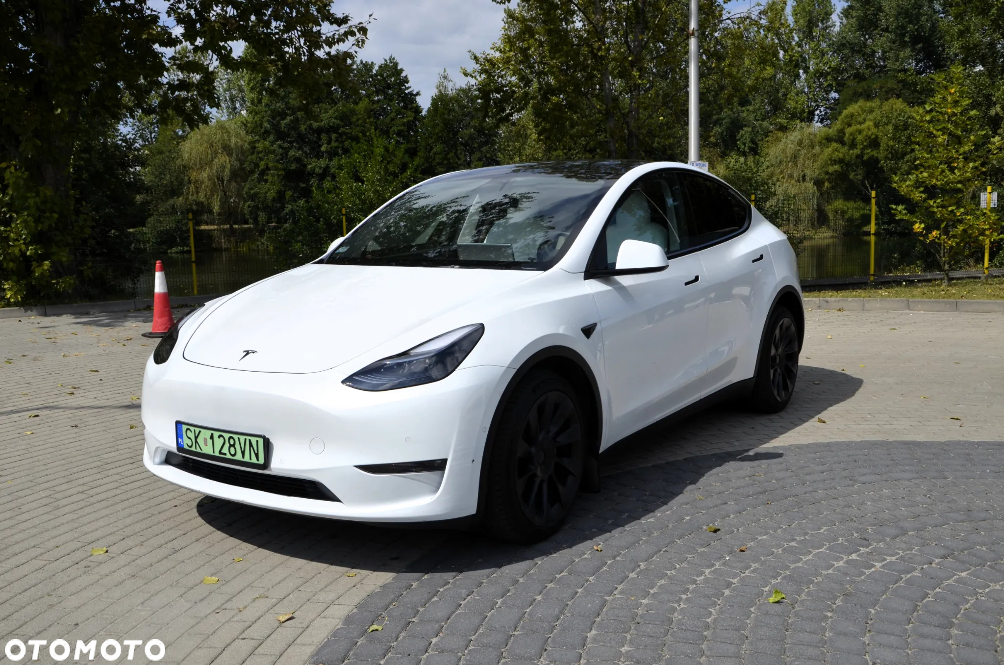 Tesla Y RWD - 2