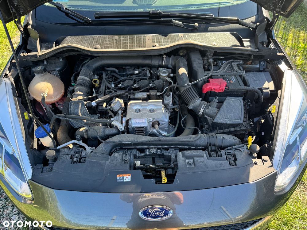 Ford Fiesta - 10