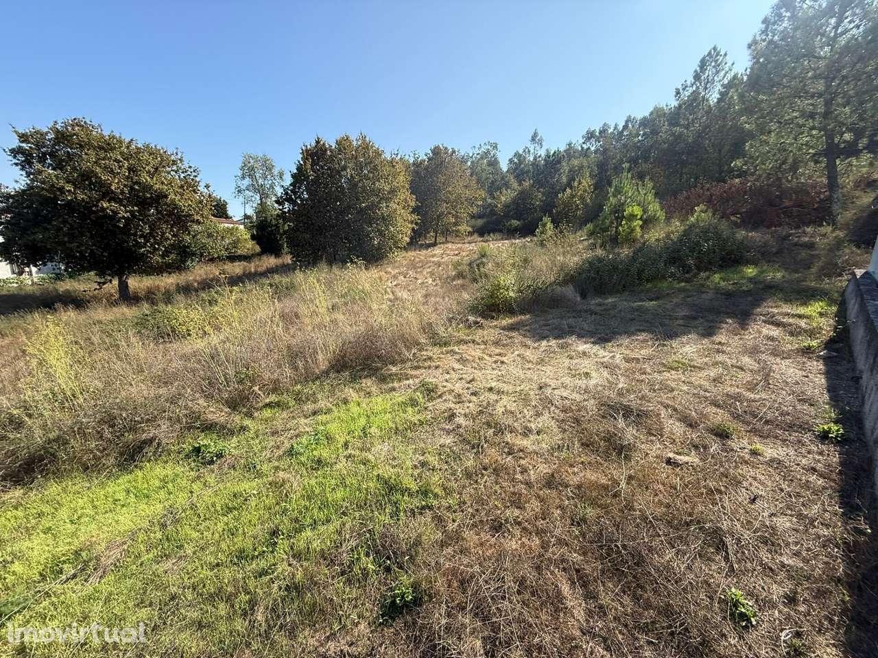 TERRENO RÚSTICO À VENDA – GUIMARÃES - Grande imagem: 3/13