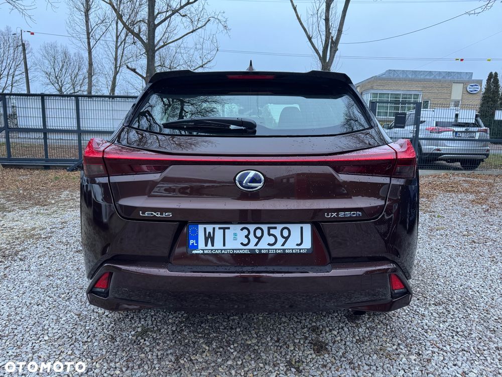 Lexus UX 250h Elegance 2WD - 6