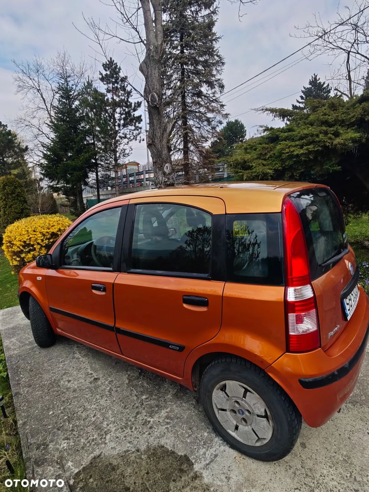 Fiat Panda - 1