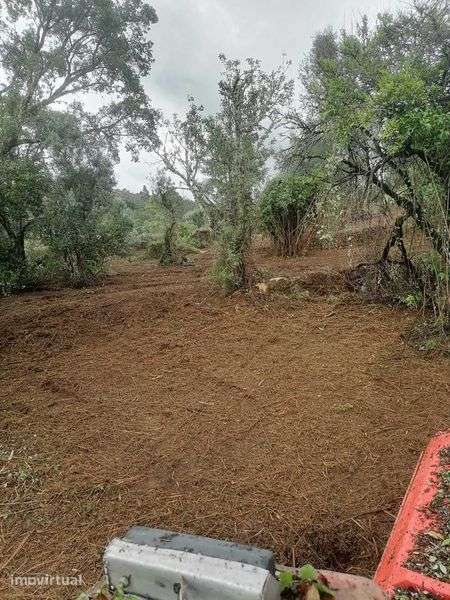 Terreno em Mação - Grande imagem: 3/7
