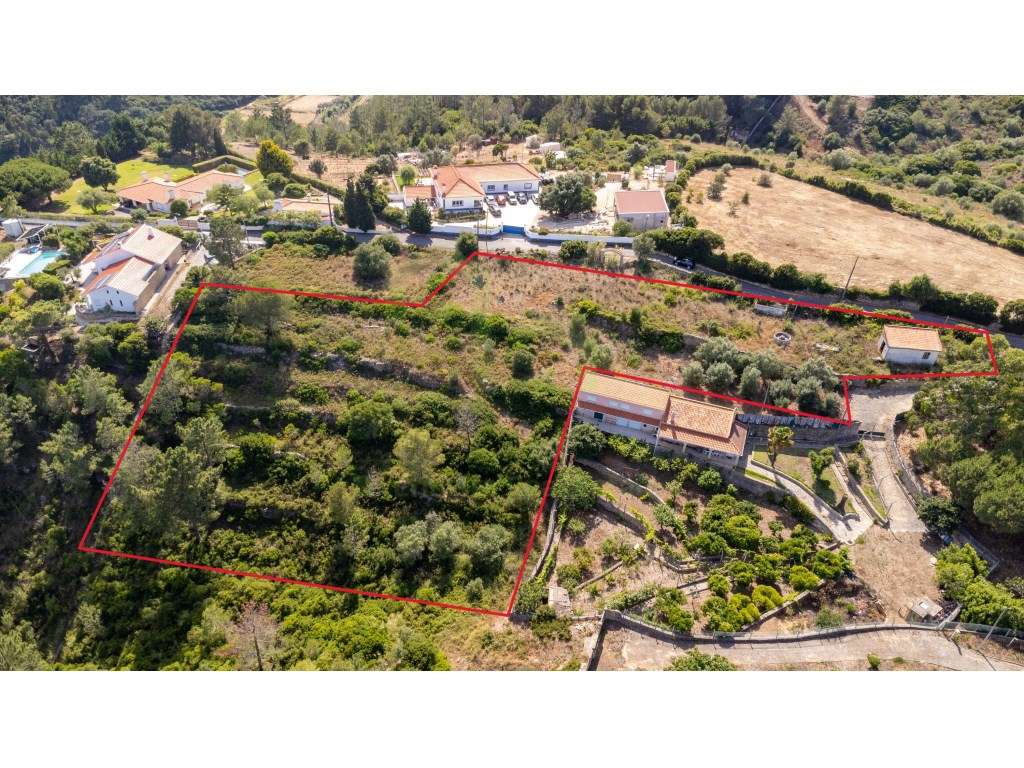 Terreno - Ericeira 6 km , A Casa das Casas - Grande imagem: 3/16