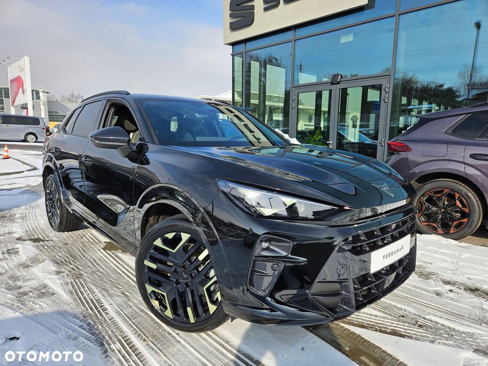 Cupra Terramar 2.0 TSI 4Drive Tribe Edition DSG - 4