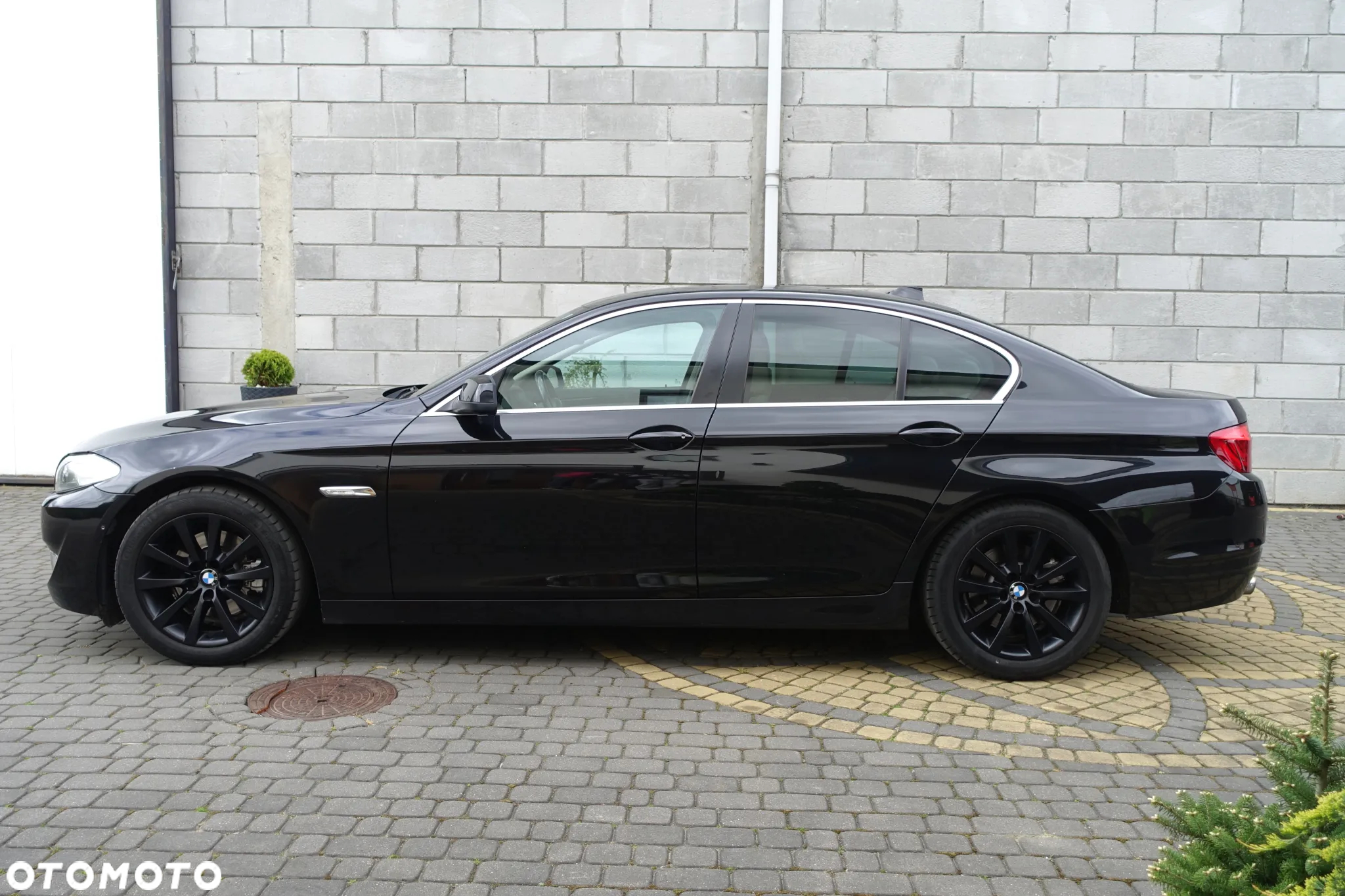 BMW Seria 5 - 3