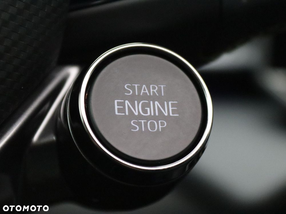 Cupra Terramar 1.5 e-Hybrid DSG Tribe Edition - 19